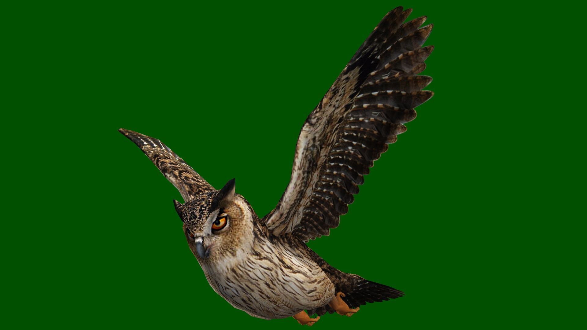 OWL RIGGED ANIMATED 7 Low-poly 3D model_6