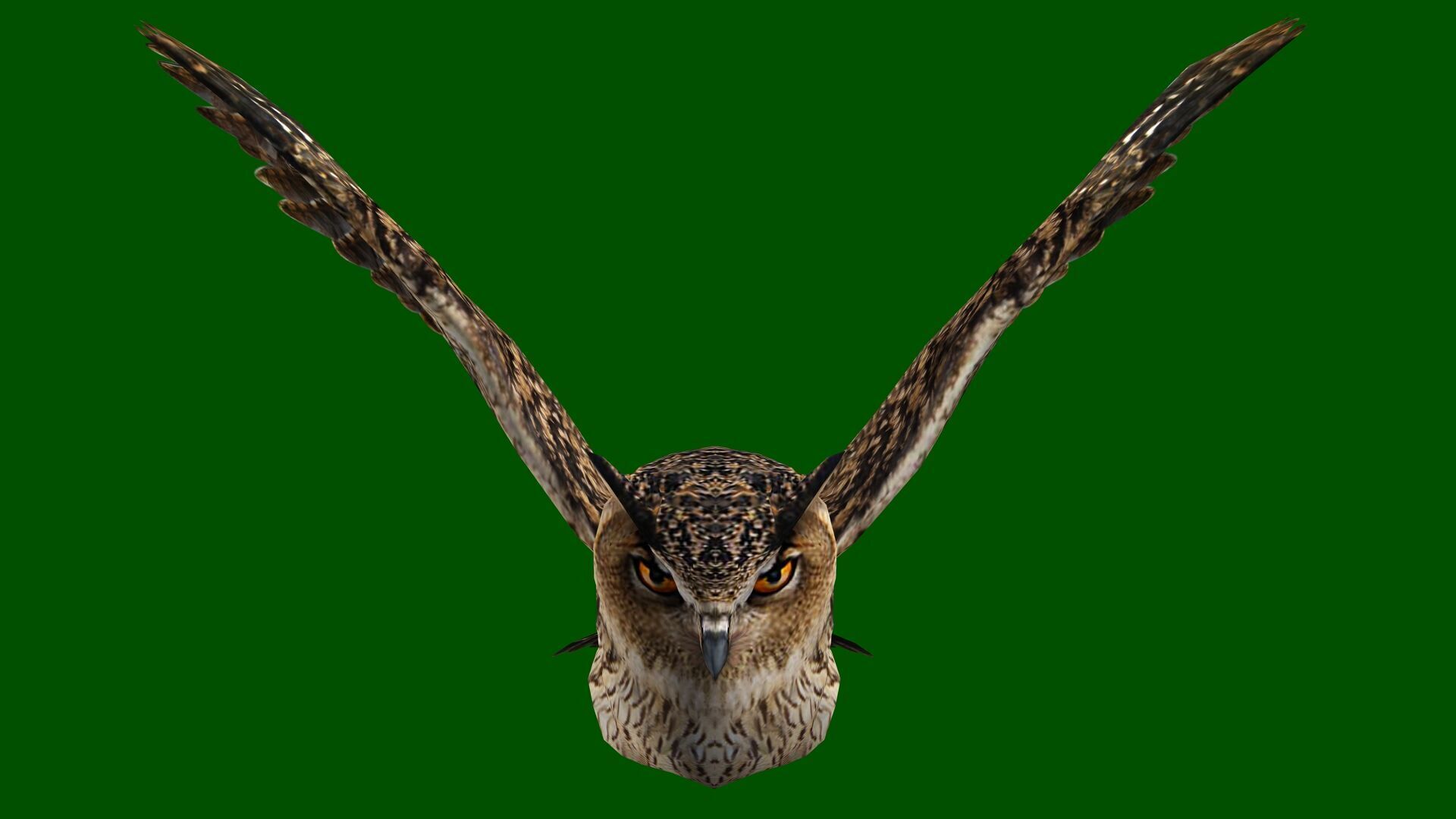 OWL RIGGED ANIMATED 7 Low-poly 3D model_5