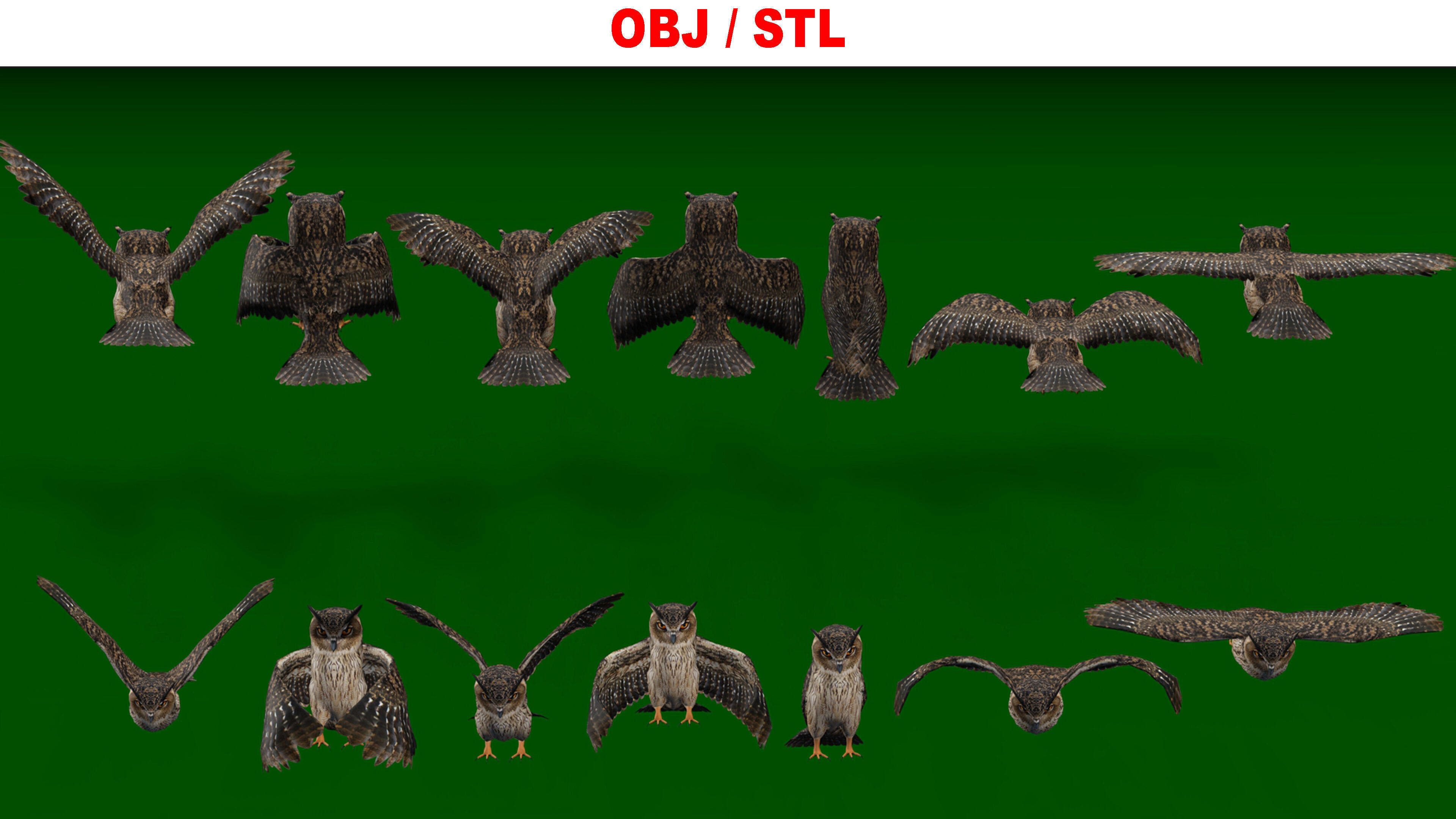 OWL RIGGED ANIMATED 7 Low-poly 3D model_9