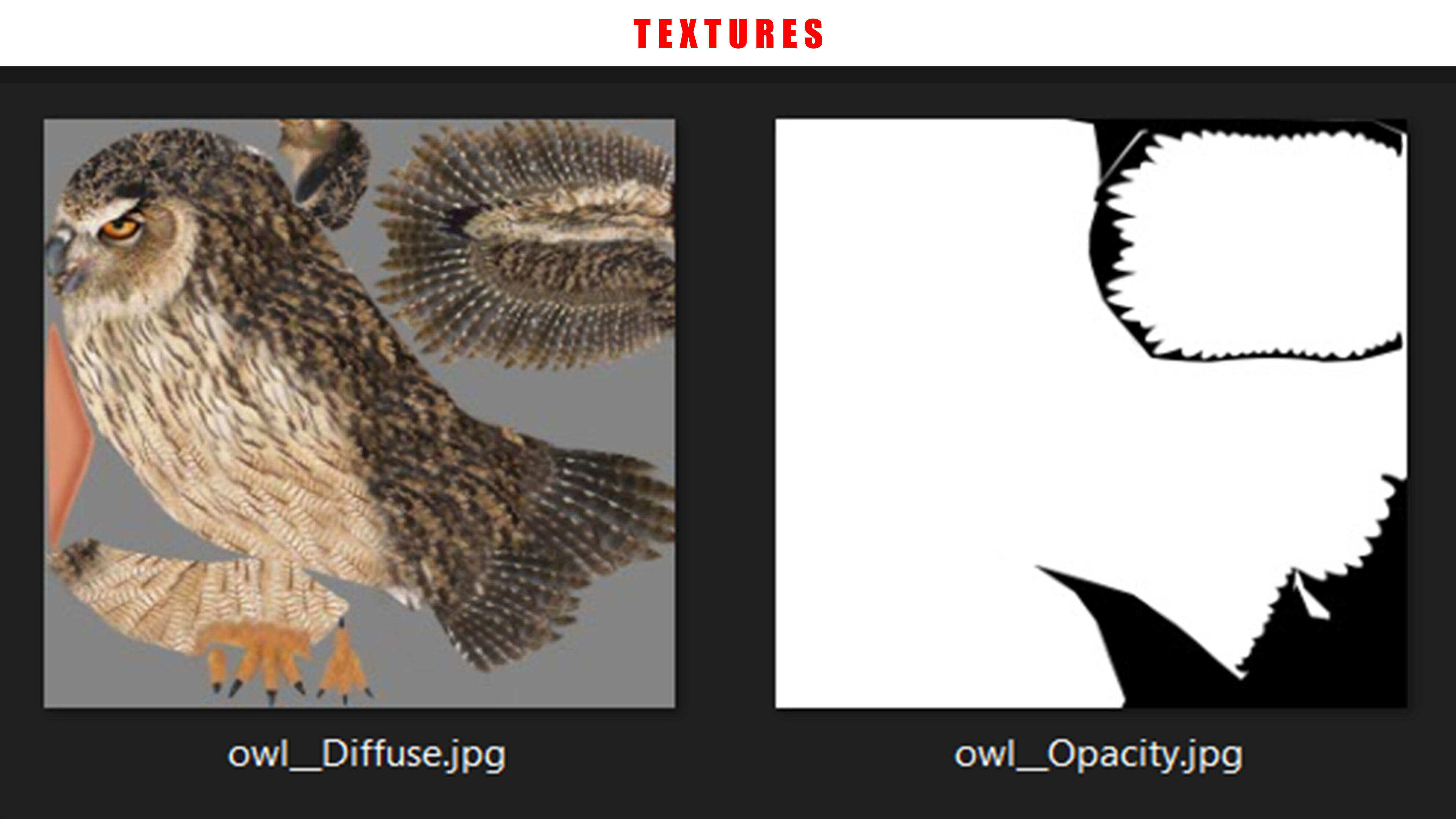 OWL RIGGED ANIMATED 7 Low-poly 3D model_14