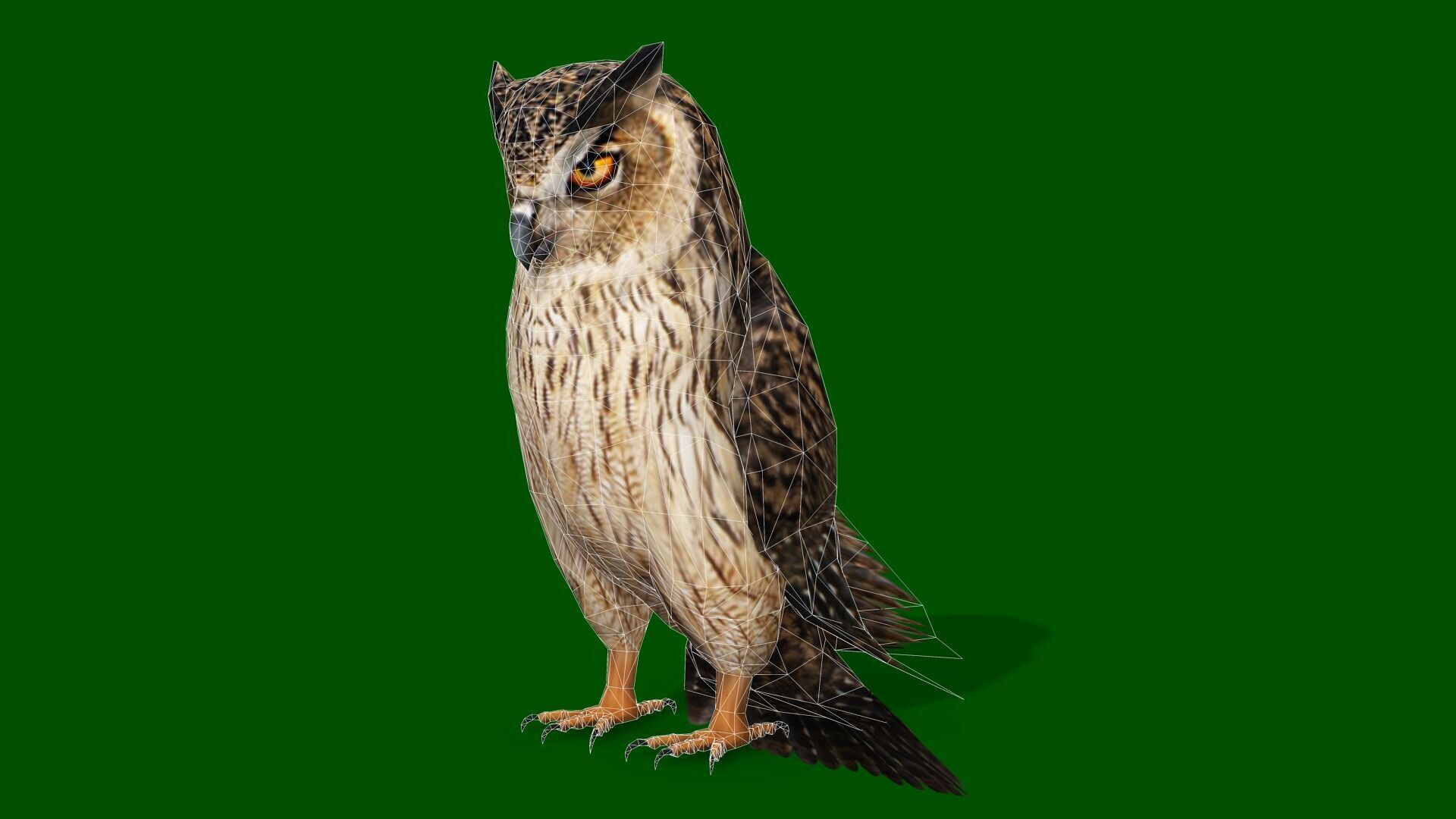 OWL RIGGED ANIMATED 7 Low-poly 3D model_12