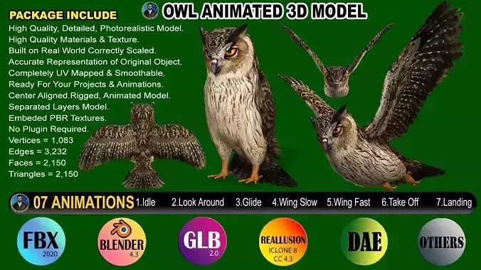 OWL RIGGED ANIMATED 7 Low-poly 3D model