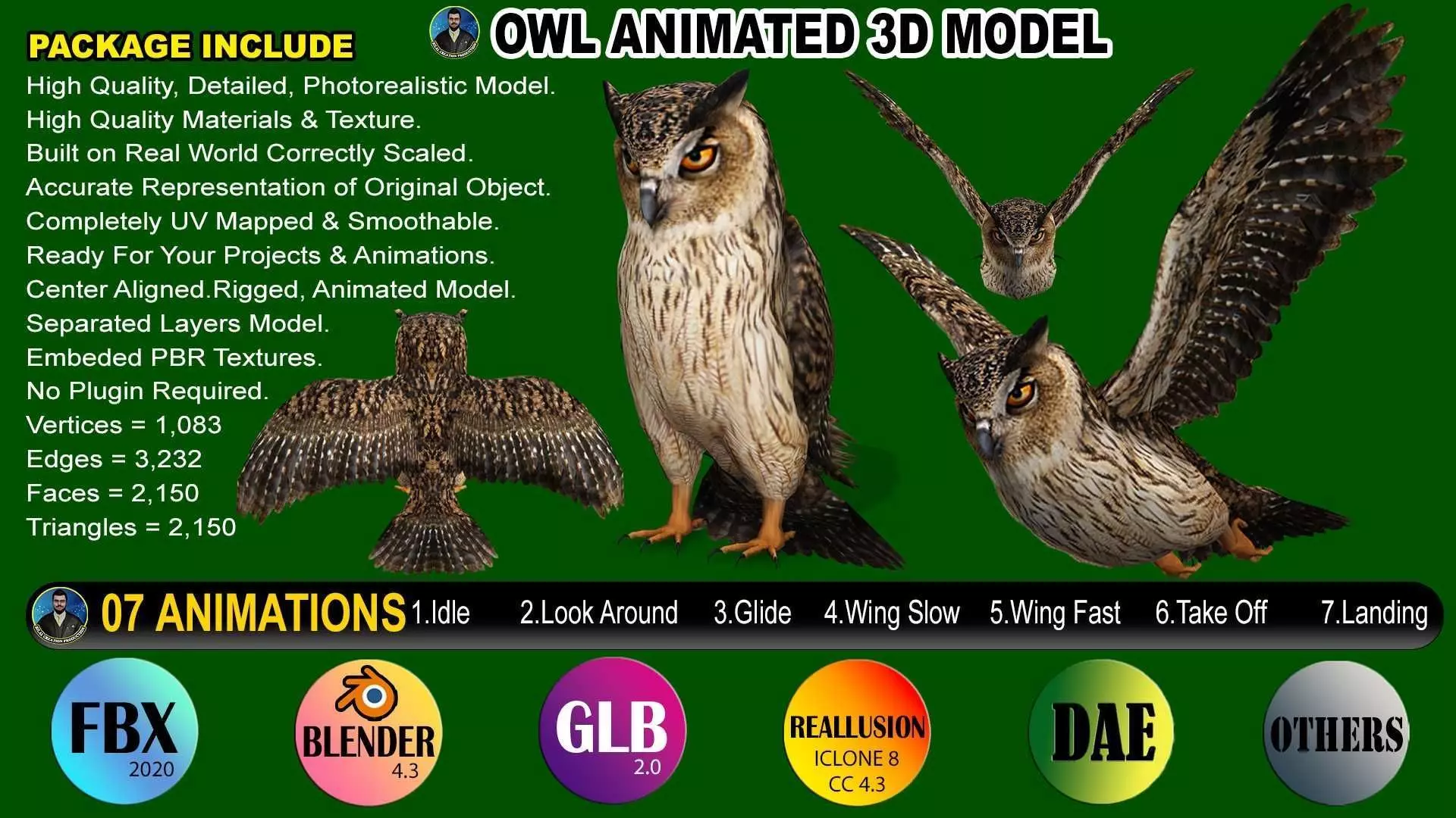 OWL RIGGED ANIMATED 7 Low-poly 3D model_0