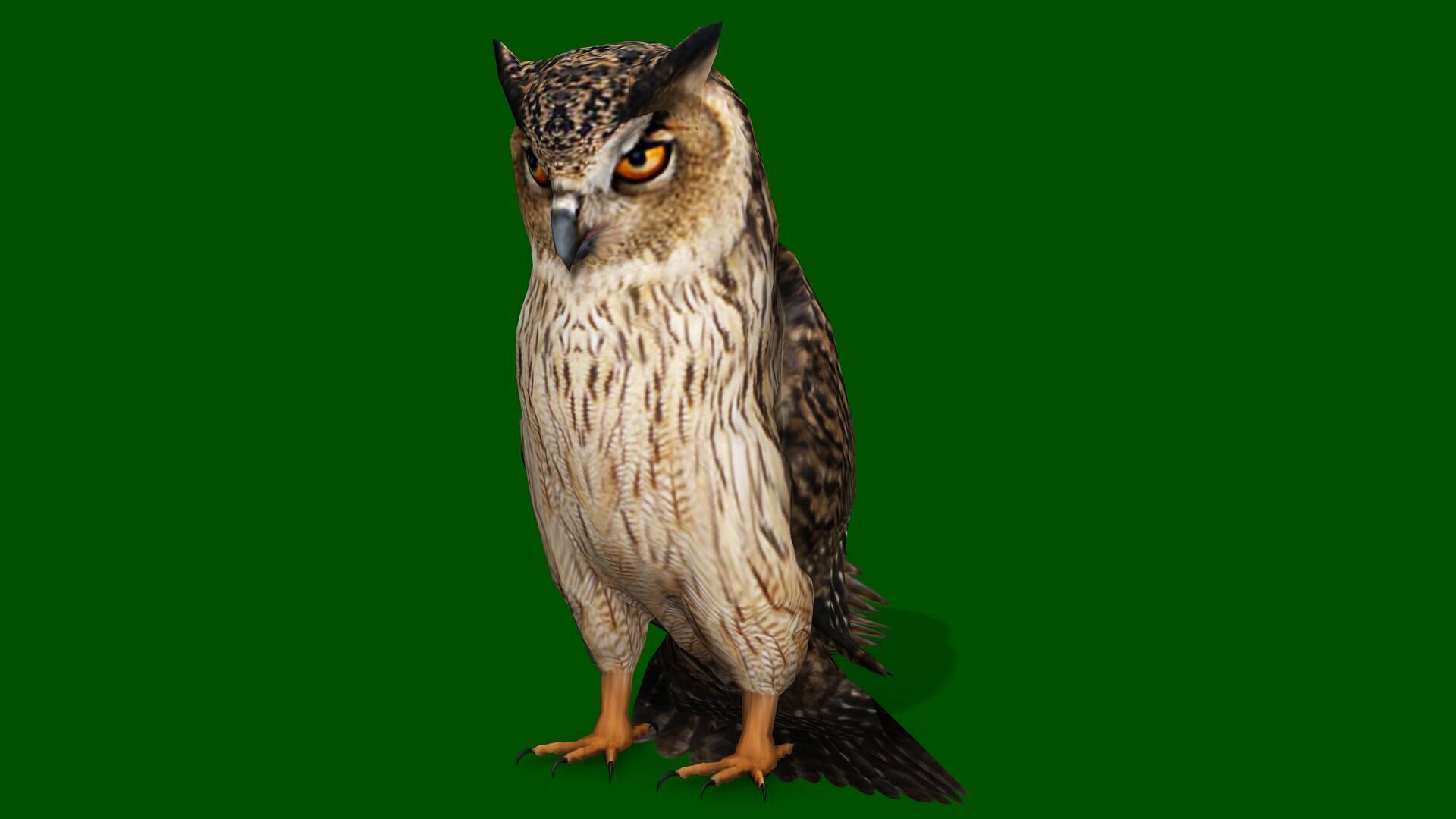 OWL RIGGED ANIMATED 7 Low-poly 3D model_2