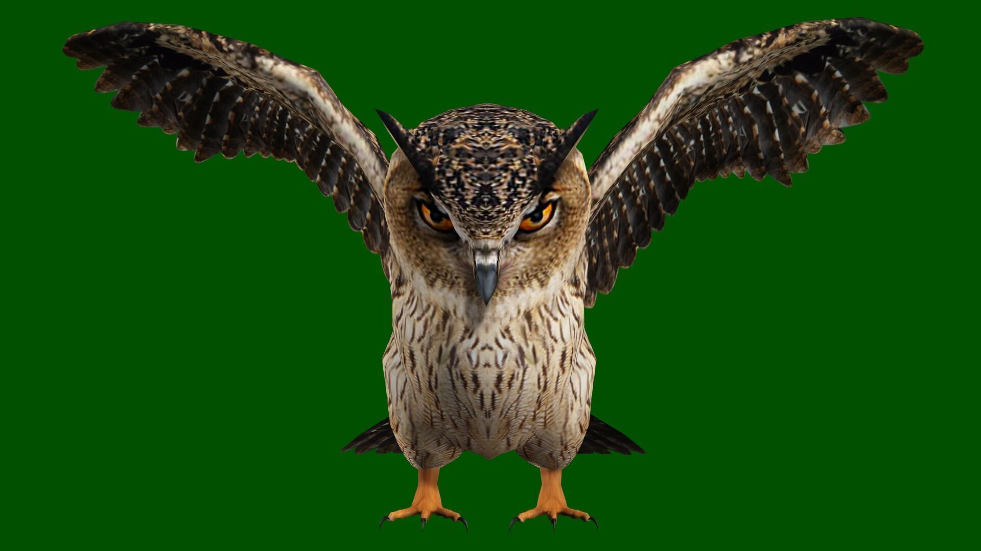 OWL RIGGED ANIMATED 7 Low-poly 3D model_1