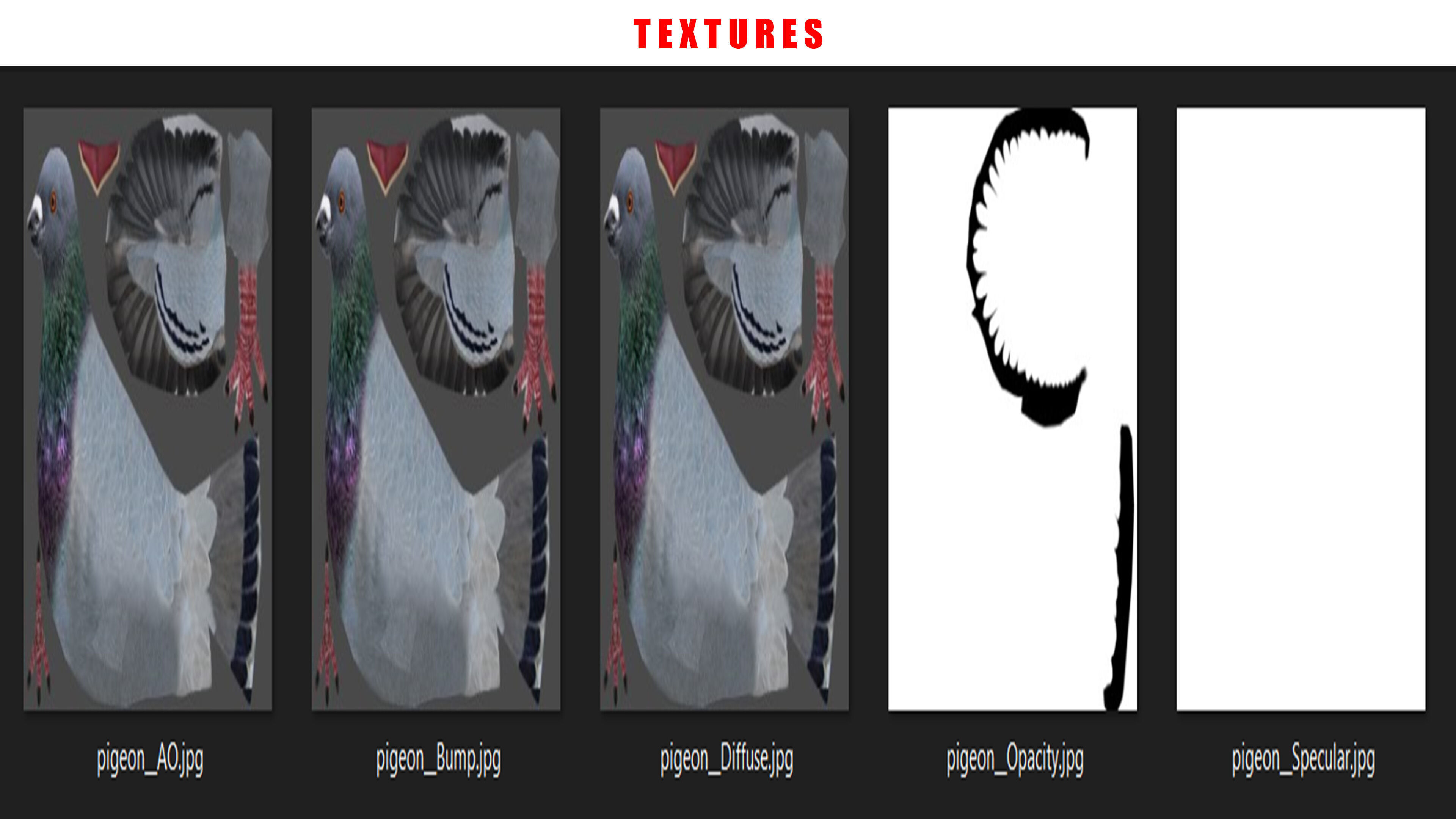 PIGEON ANIMATED Low-poly 3D model_12