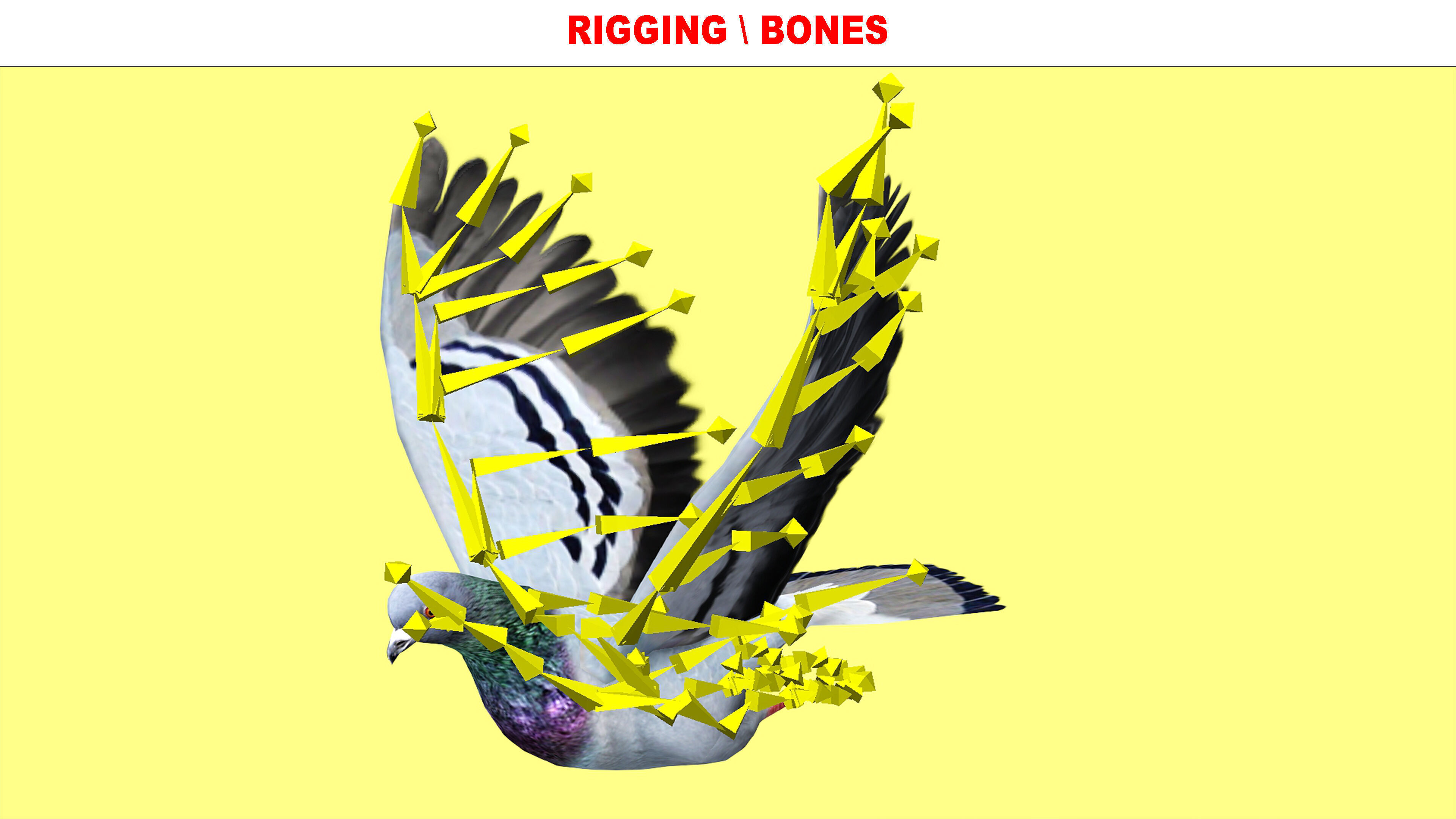 PIGEON ANIMATED Low-poly 3D model_8