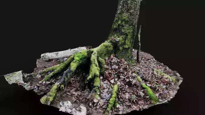 forest ground tree stump mossy roots debris pt7 photogrammetry