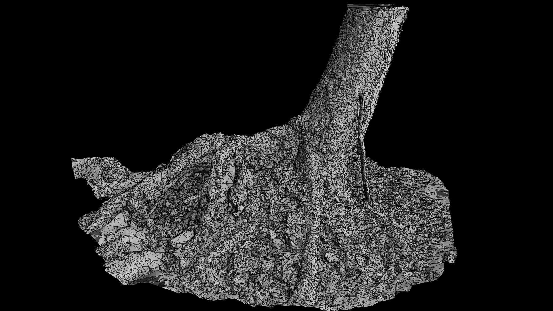 forest ground tree stump mossy roots debris pt7 photogrammetry Low-poly 3D model_9