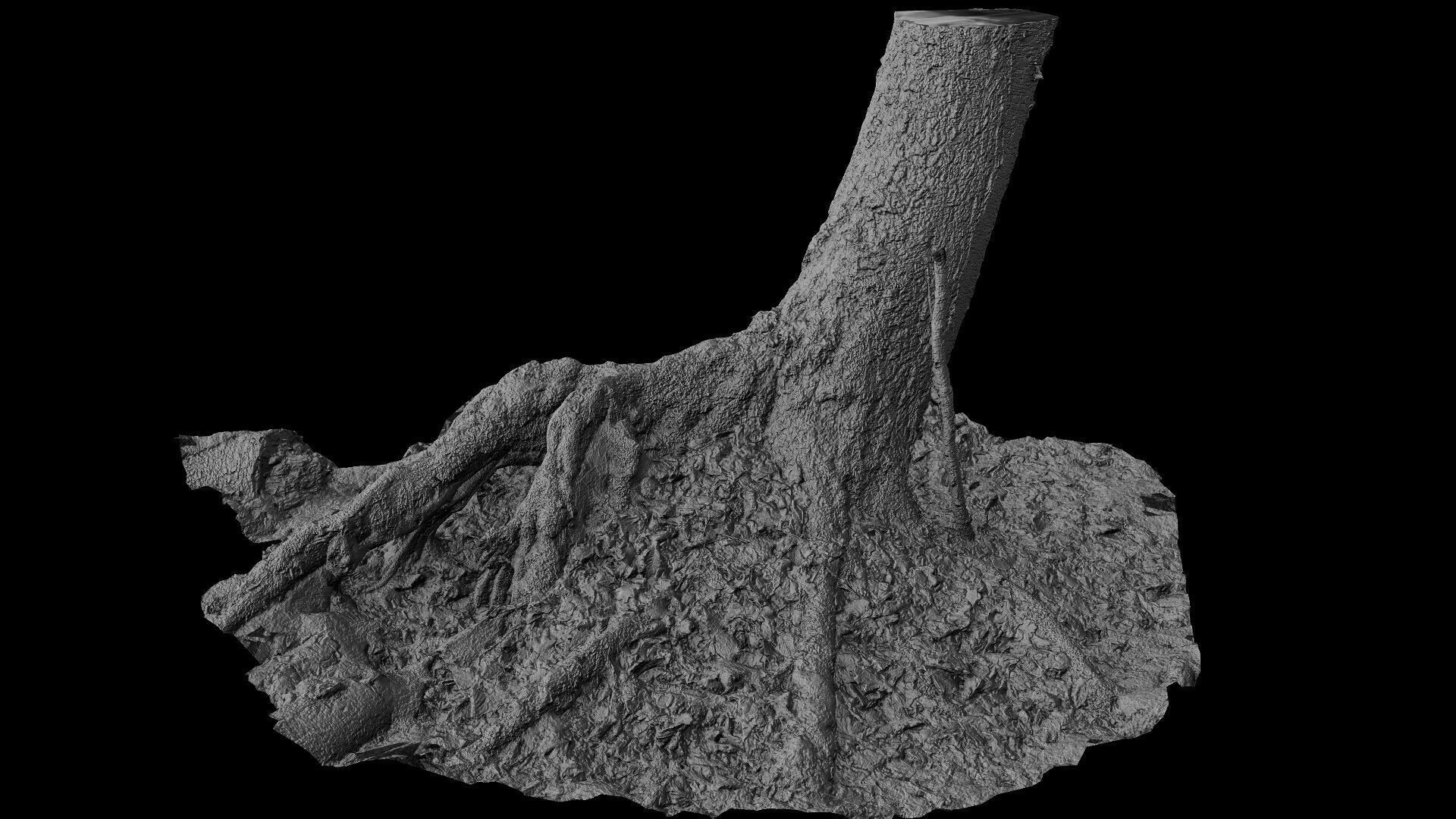forest ground tree stump mossy roots debris pt7 photogrammetry Low-poly 3D model_8