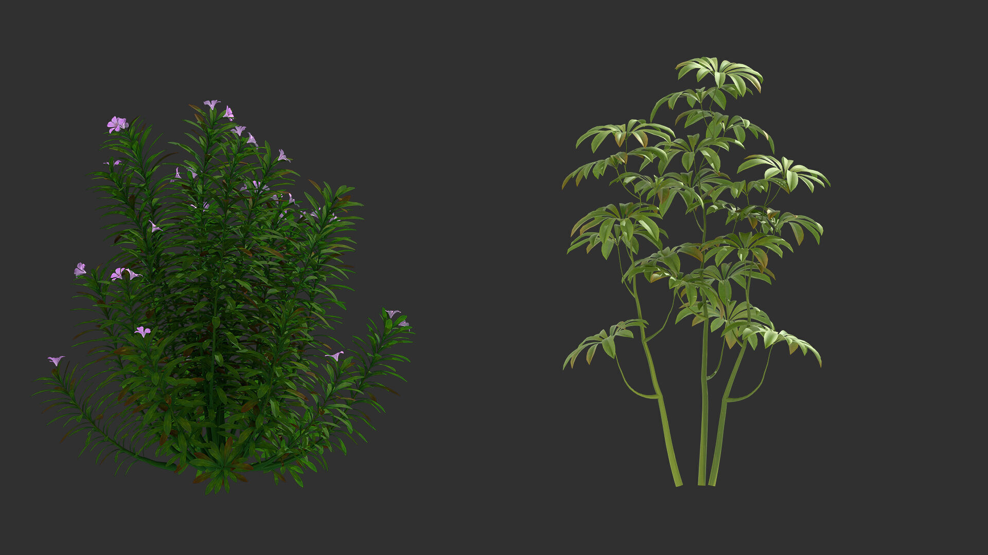 shrub tree 3D model_4