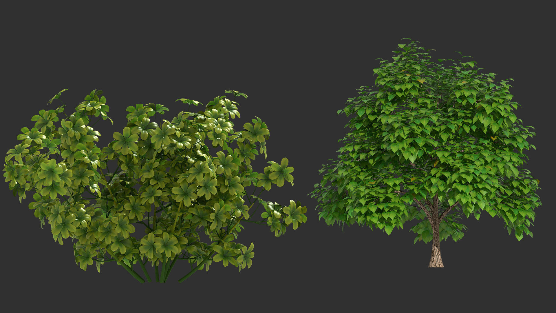 shrub tree 3D model_3