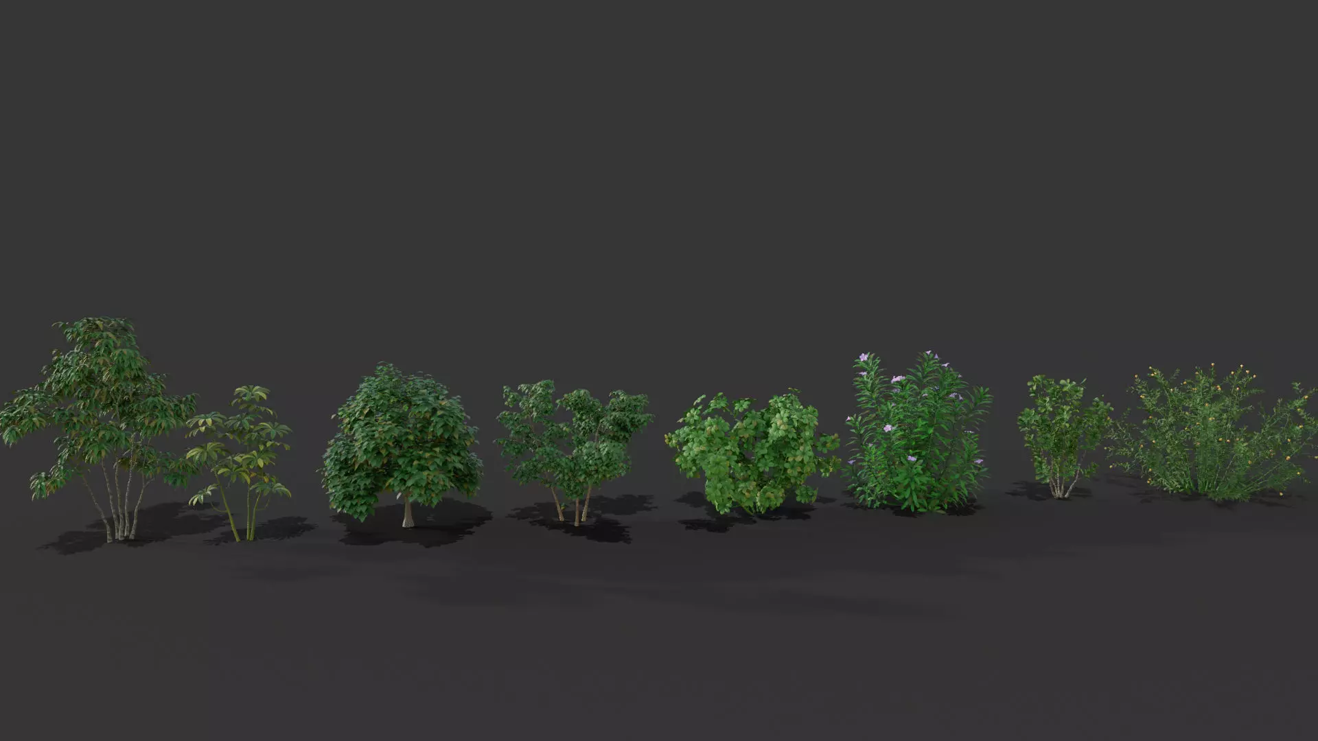 shrub tree 3D model_0
