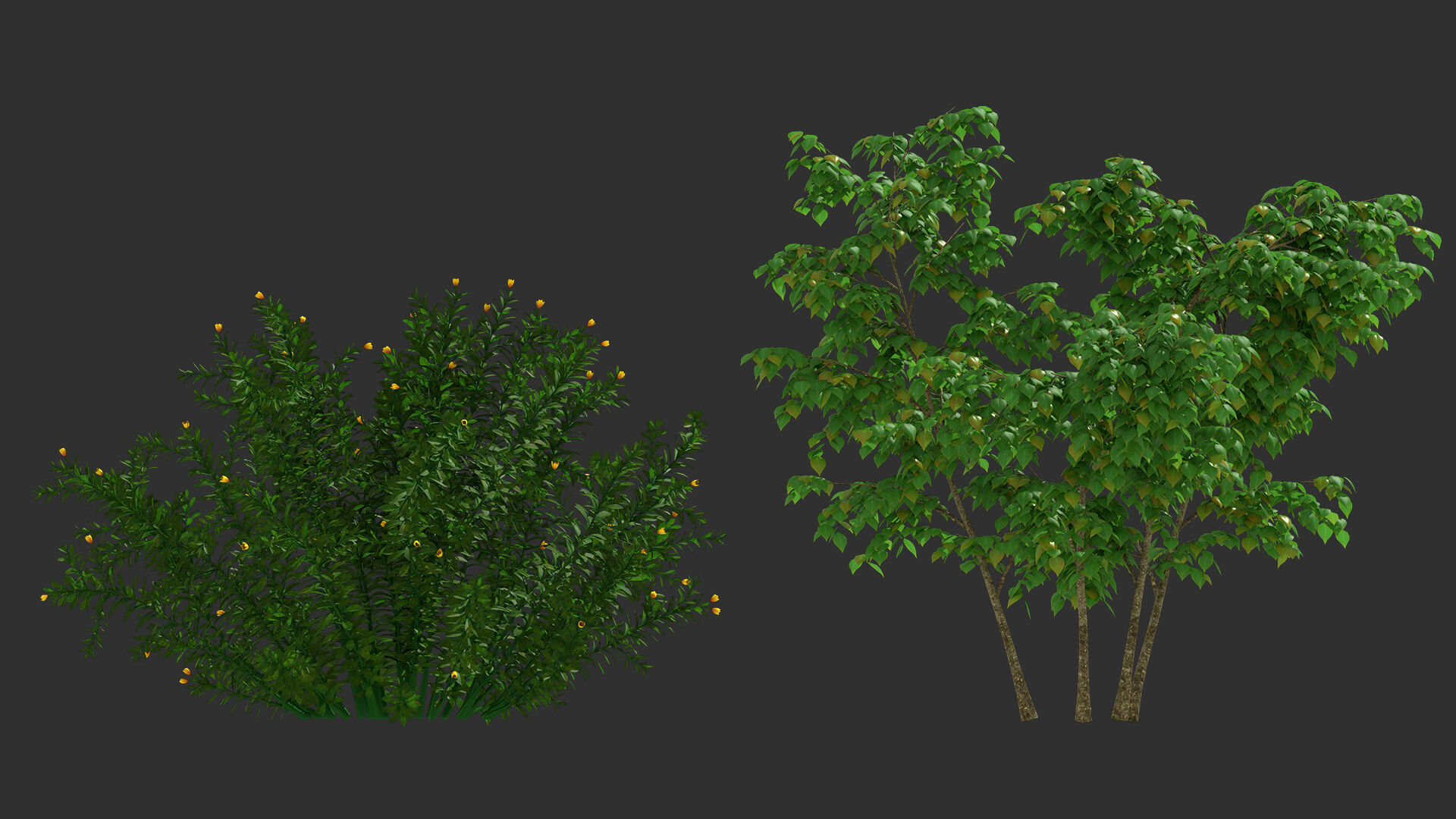 shrub tree 3D model_2