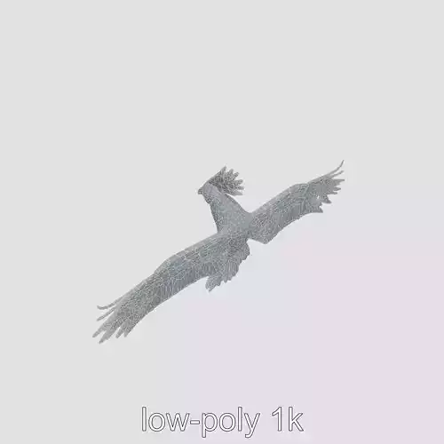 Phoenix Bird in Flight 3D Model Low-poly 3D model