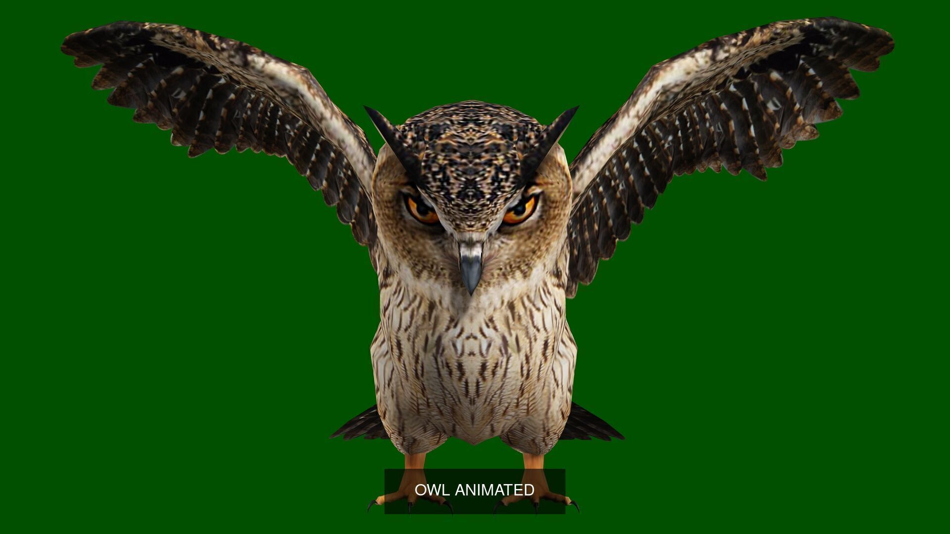 6 PACK OF HORSE DONKEY CAT TURTLE OWL PIGEON 3D Model Collection_7