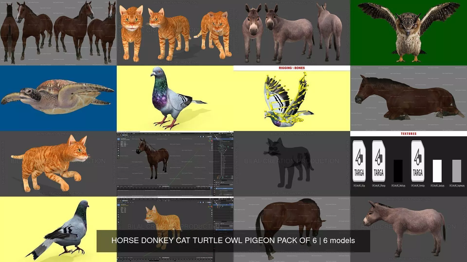 6 PACK OF HORSE DONKEY CAT TURTLE OWL PIGEON 3D Model Collection_0