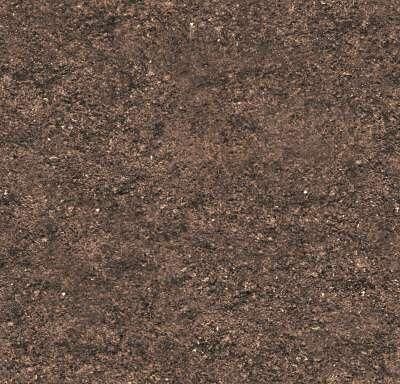 Backyard Swimming Pool Area  3D Landscape Design Model 3D model_16