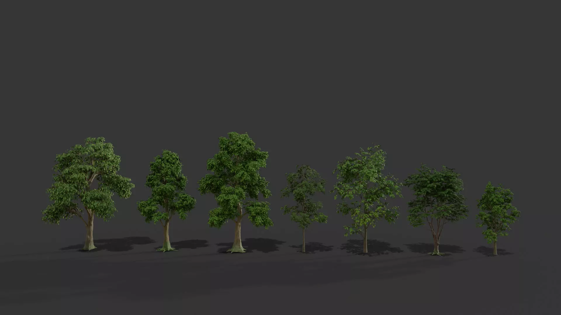 tree  leaf forest 3D model_0