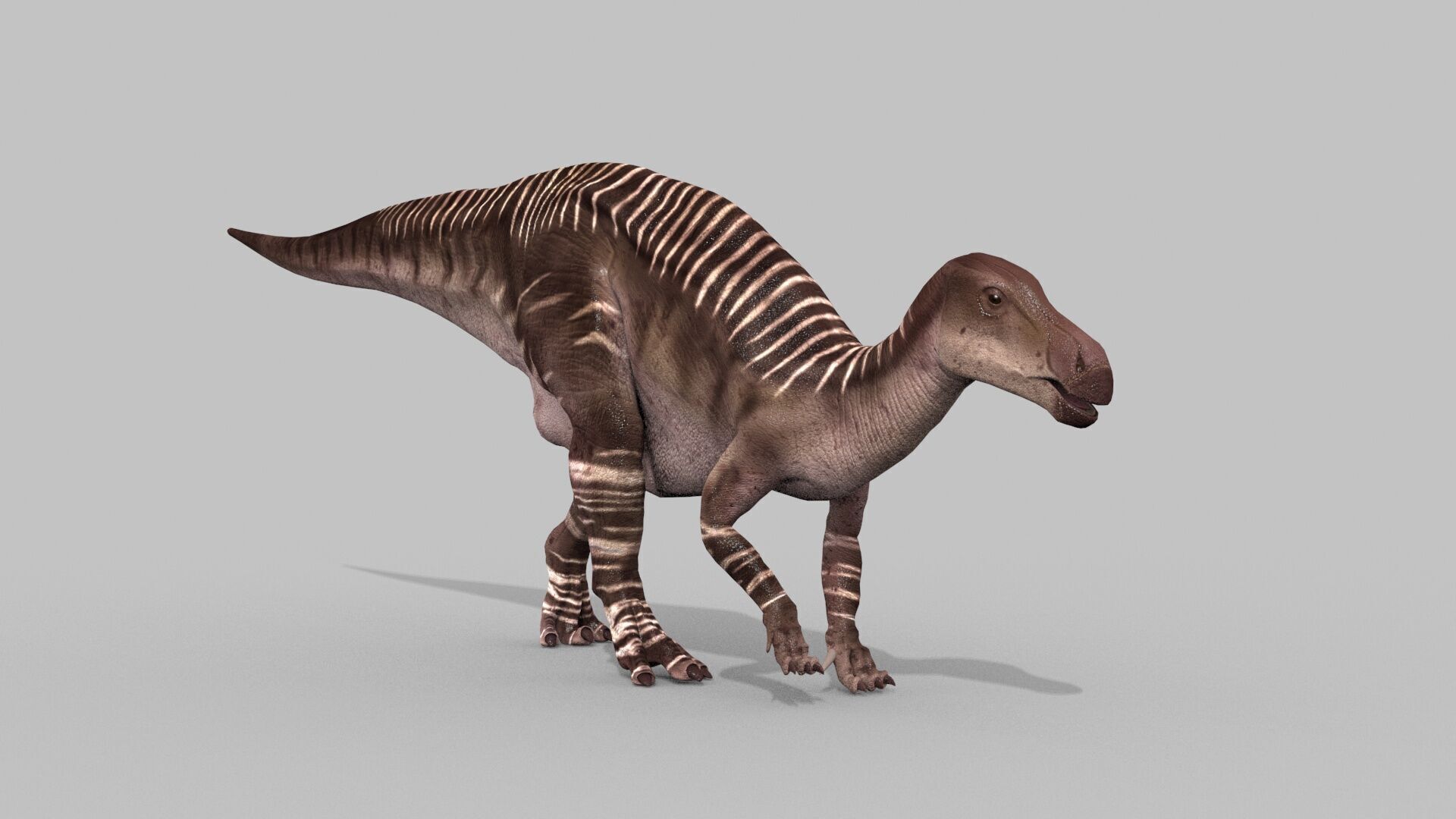 Iguanodon Lives 8K - 3d animated model 3D model_6