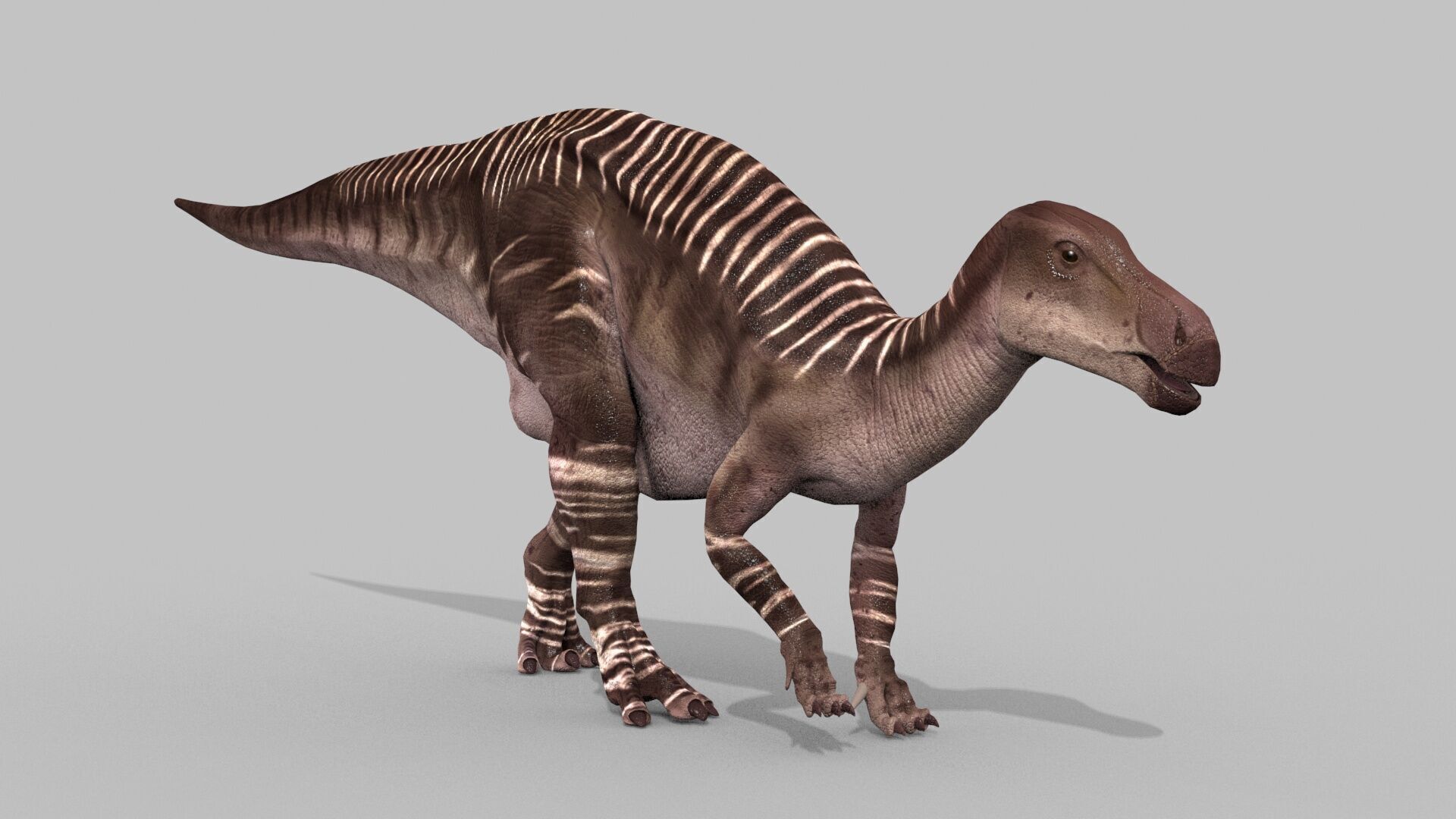 Iguanodon Lives 8K - 3d animated model 3D model_7