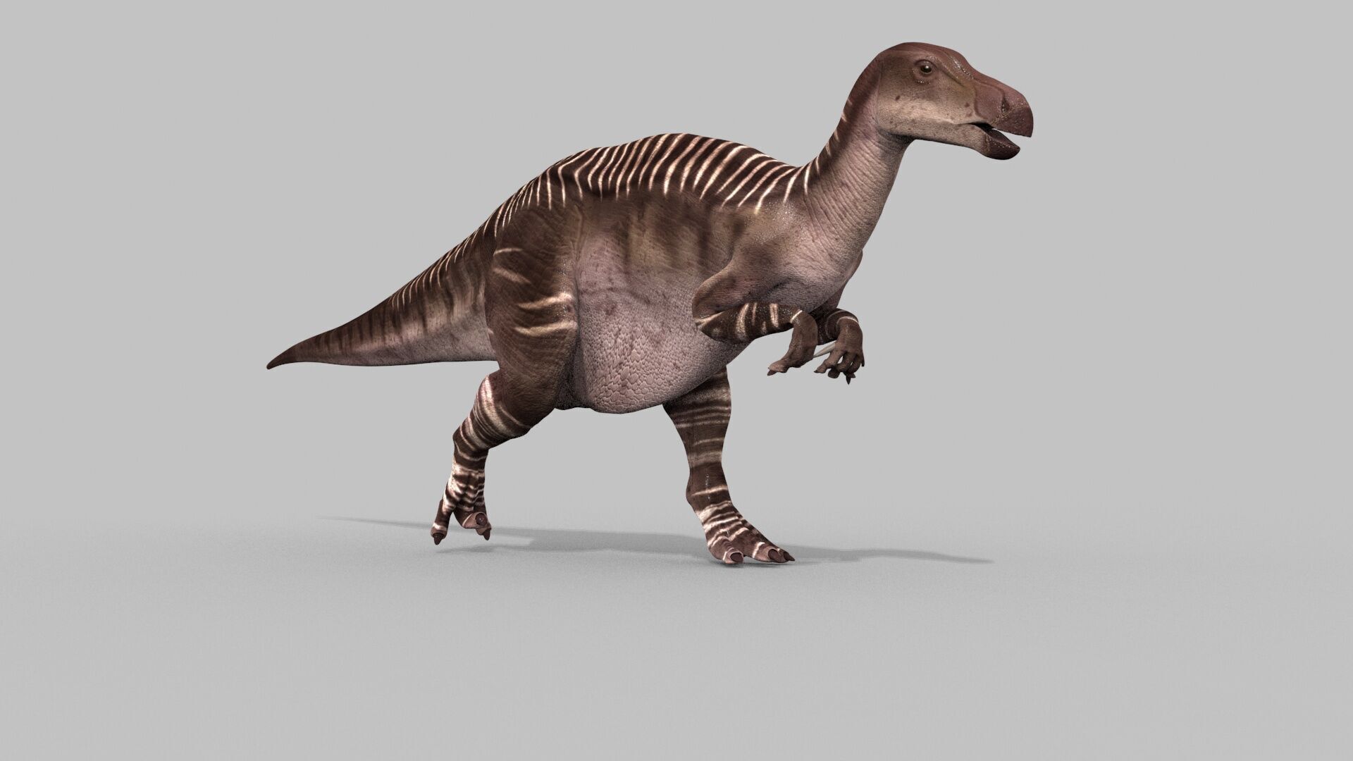 Iguanodon Lives 8K - 3d animated model 3D model_15