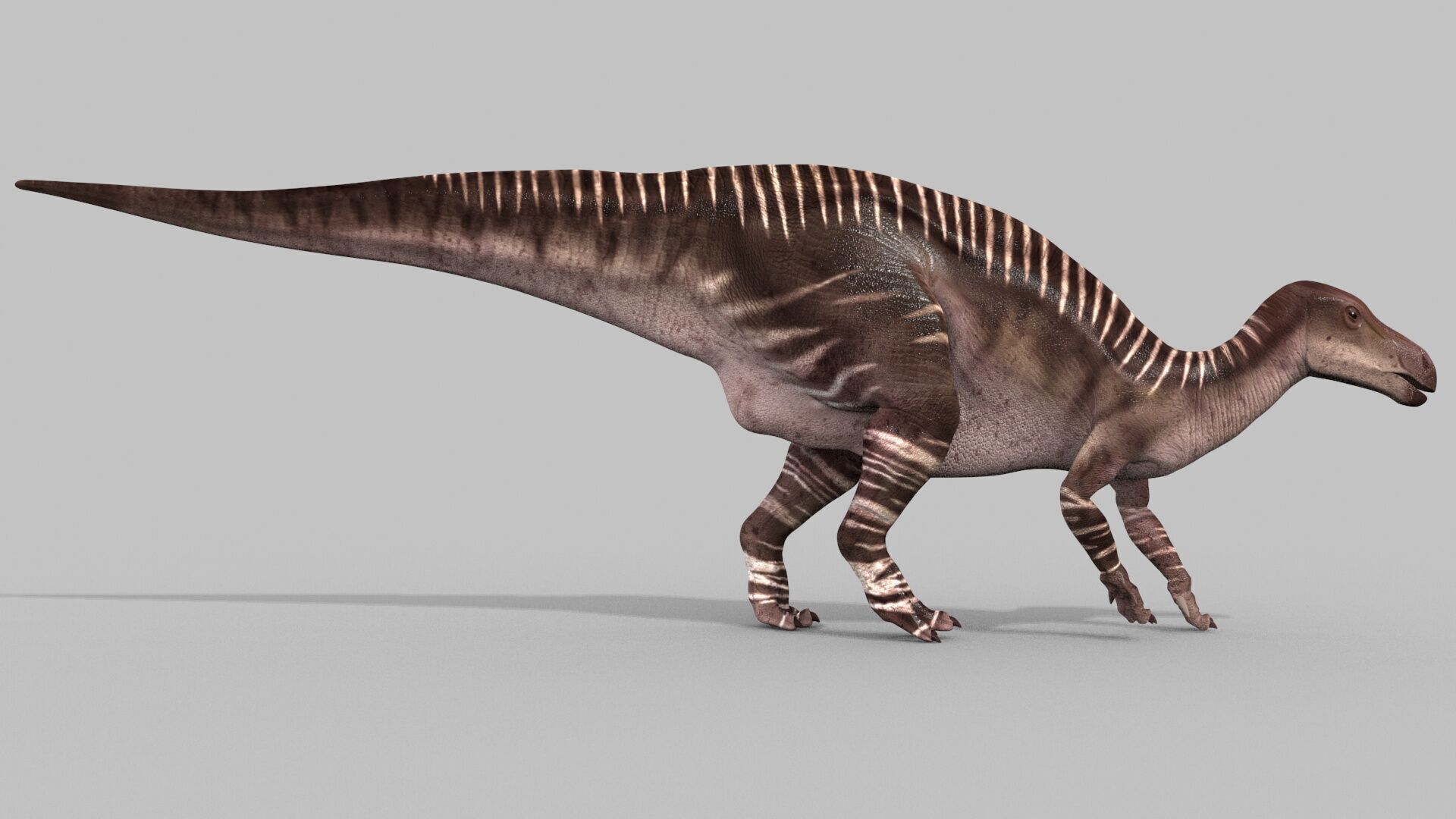 Iguanodon Lives 8K - 3d animated model 3D model_9