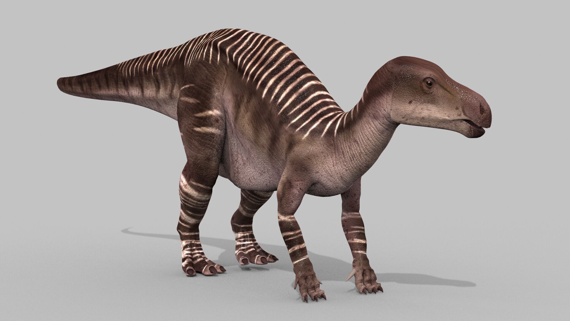 Iguanodon Lives 8K - 3d animated model 3D model_18