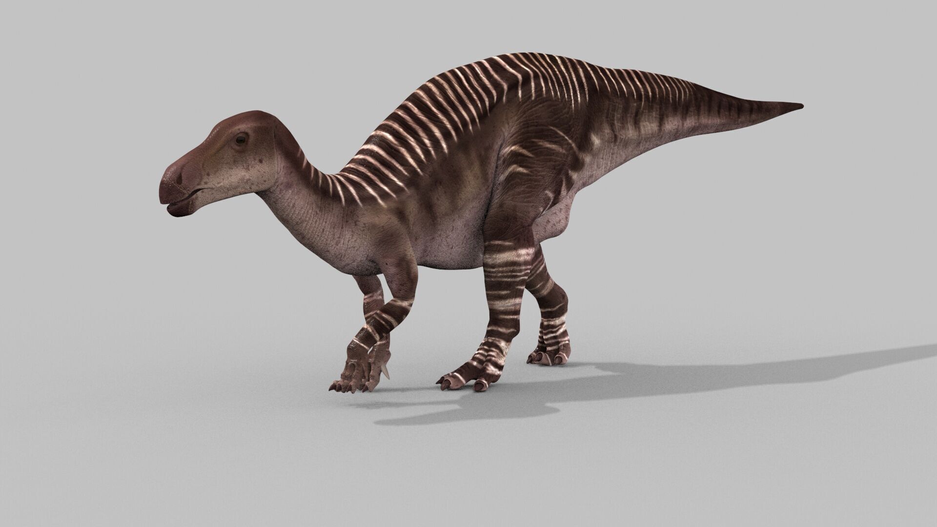 Iguanodon Lives 8K - 3d animated model 3D model_13