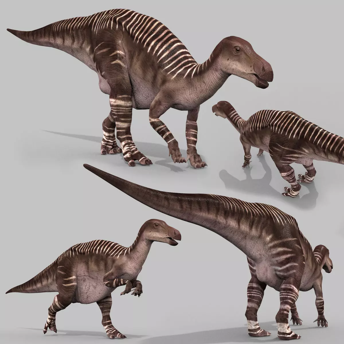 Iguanodon Lives 8K - 3d animated model 3D model_0