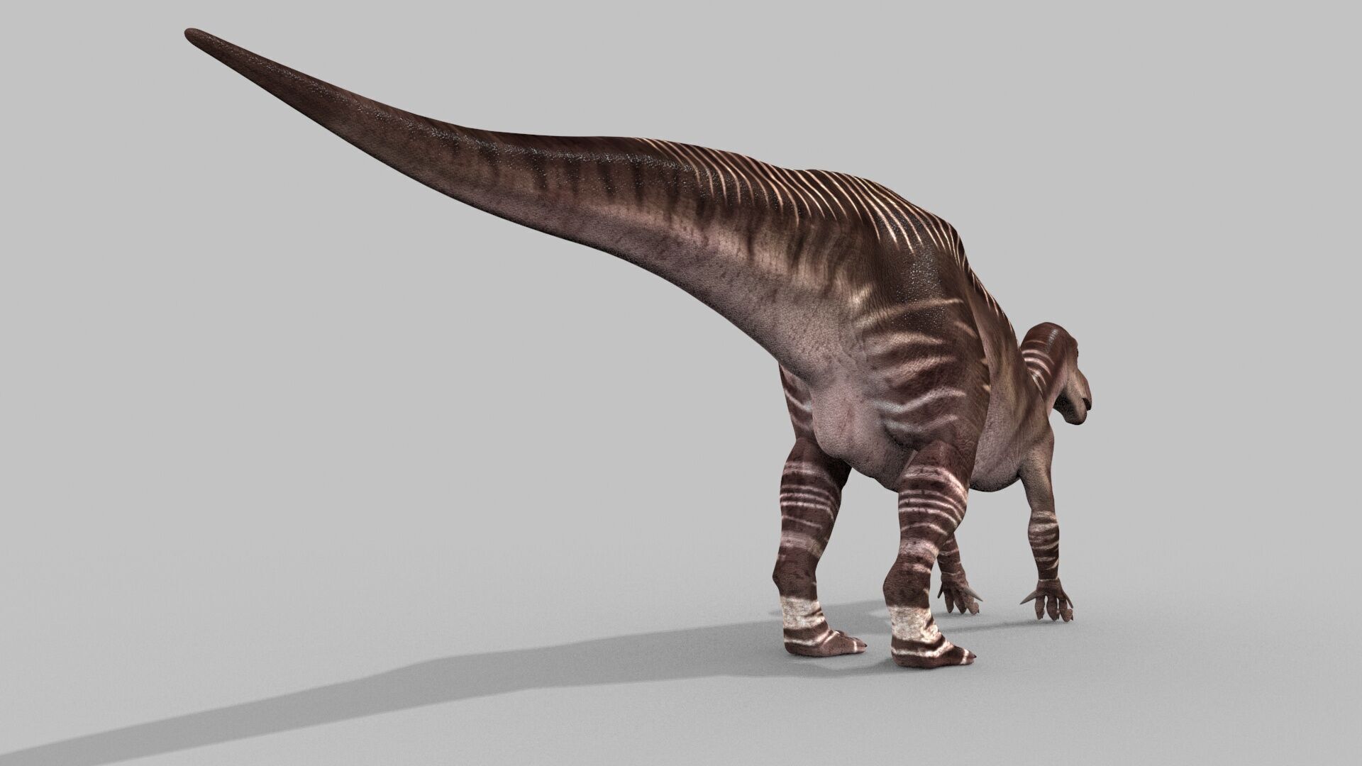 Iguanodon Lives 8K - 3d animated model 3D model_11