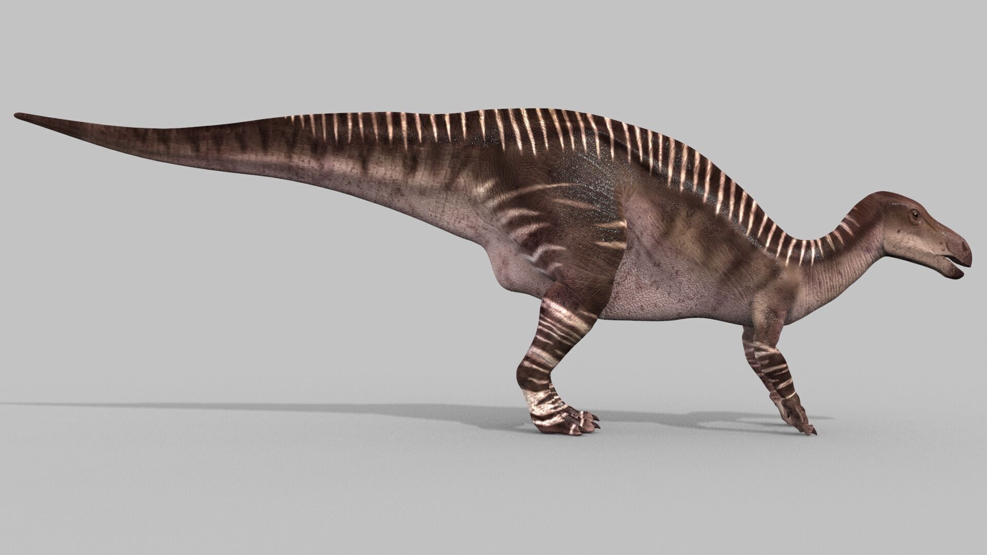 Iguanodon Lives 8K - 3d animated model 3D model_10