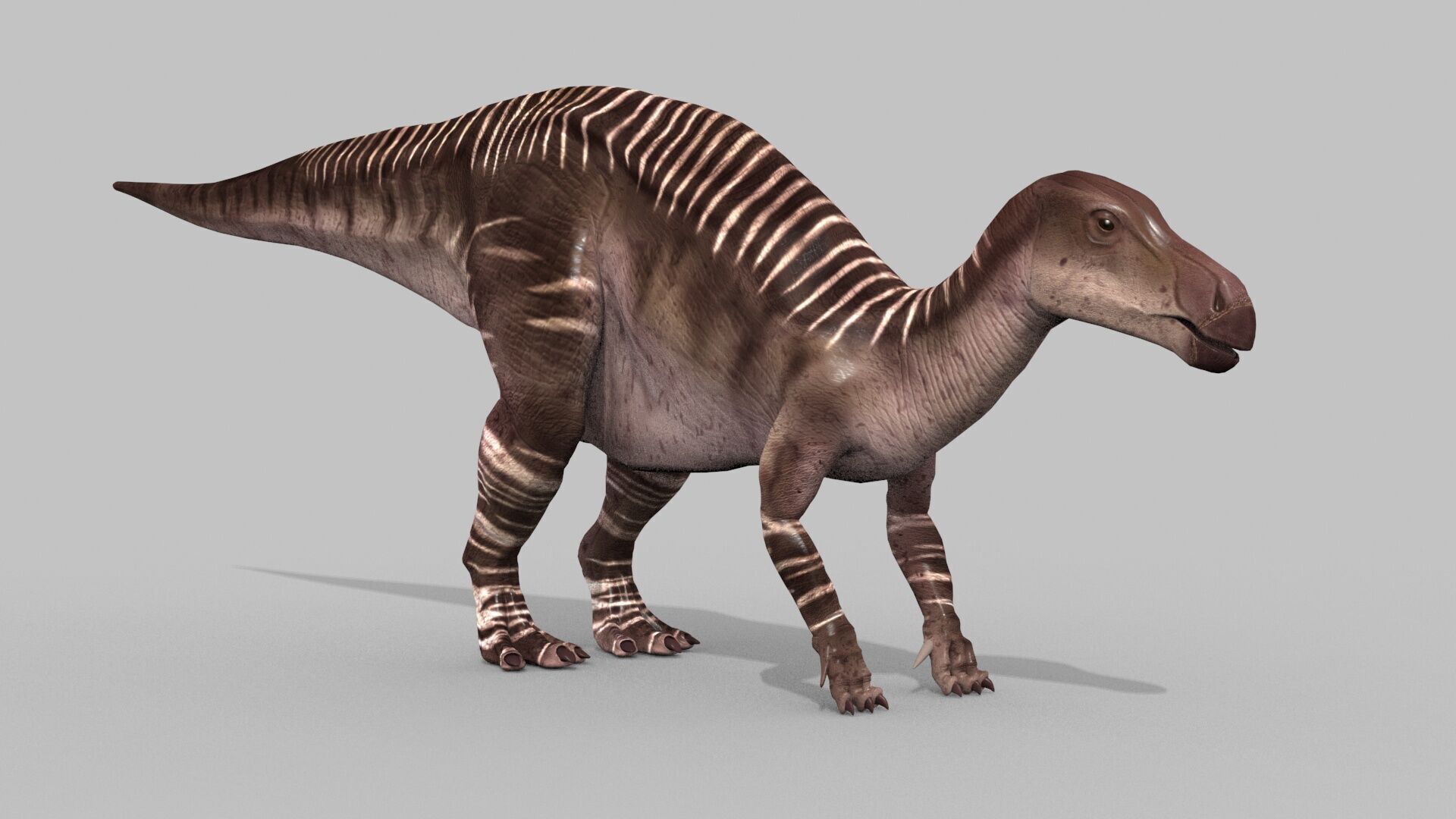 Iguanodon Lives 8K - 3d animated model 3D model_8