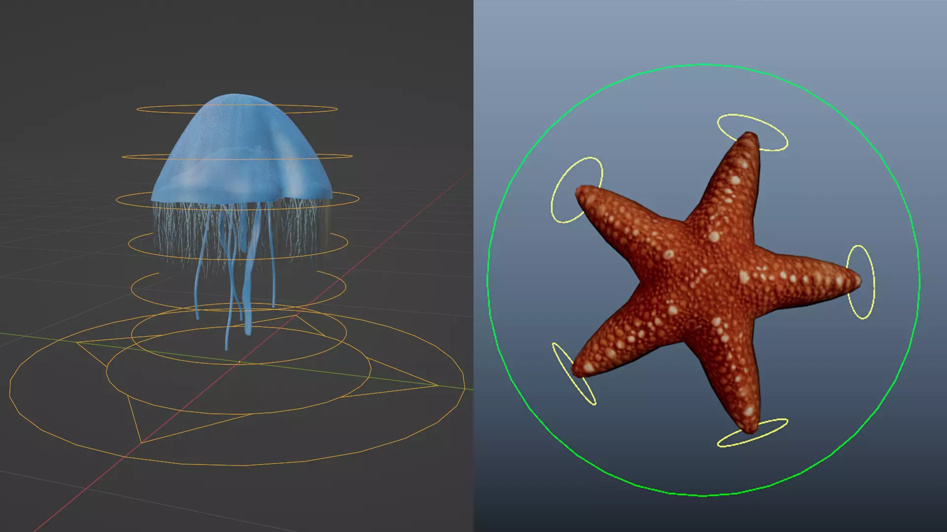 Jelly Fish Rig - Star Fish Rig  Low-poly 3D model_0