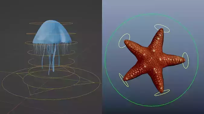 Jelly Fish Rig - Star Fish Rig 