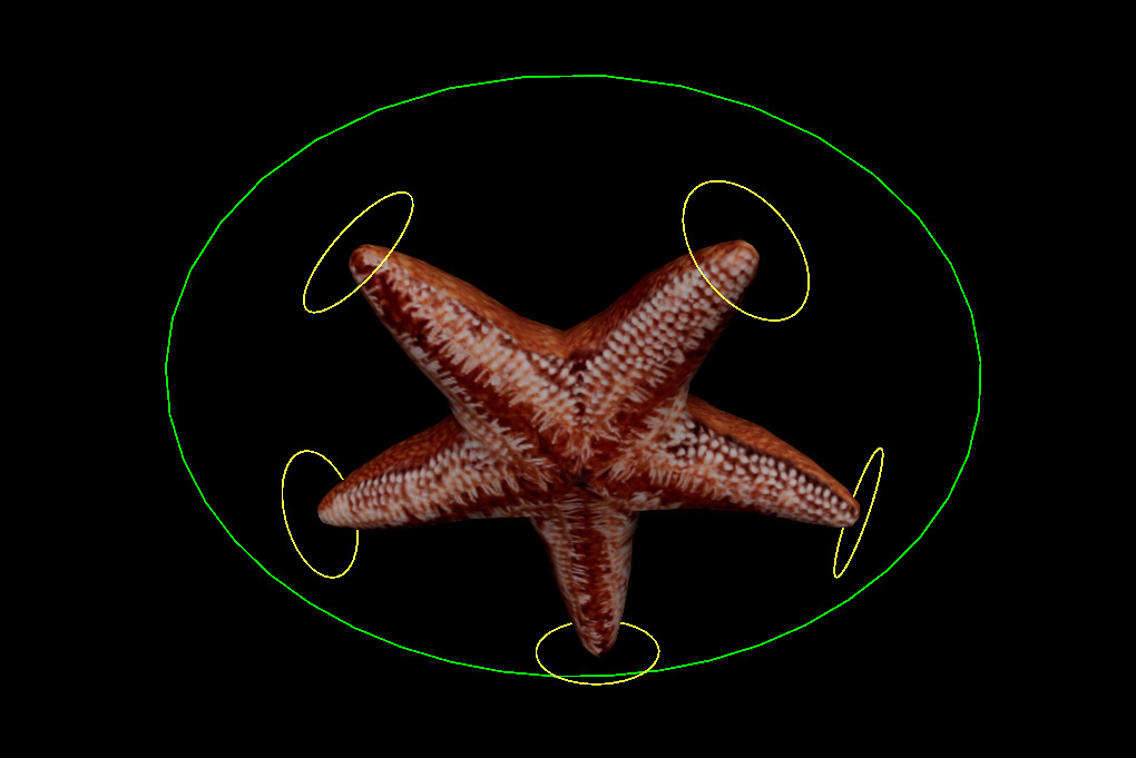 Jelly Fish Rig - Star Fish Rig  Low-poly 3D model_3