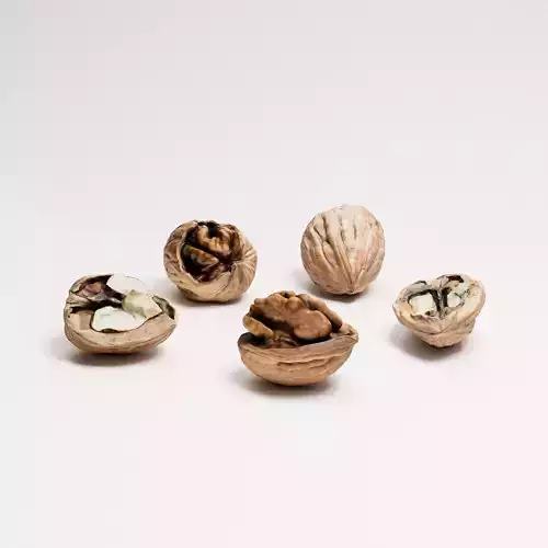 Walnuts Set 02