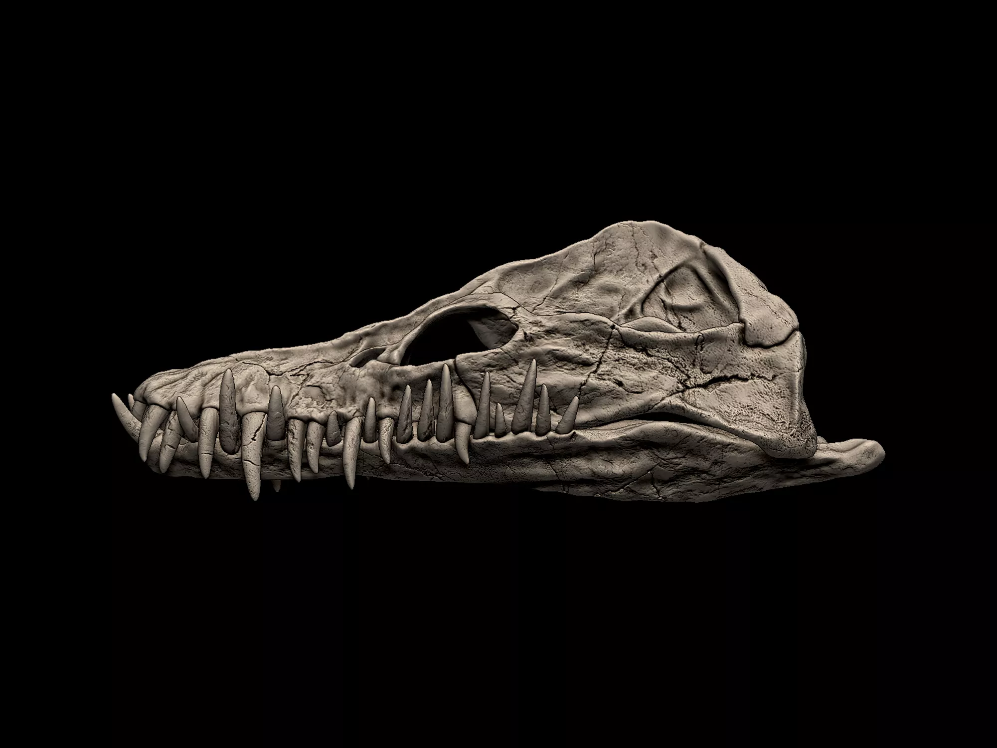 Elasmosaurus Skull 3D print model