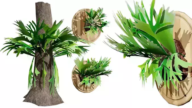 Australian Staghorn Fern Low-poly 3D model