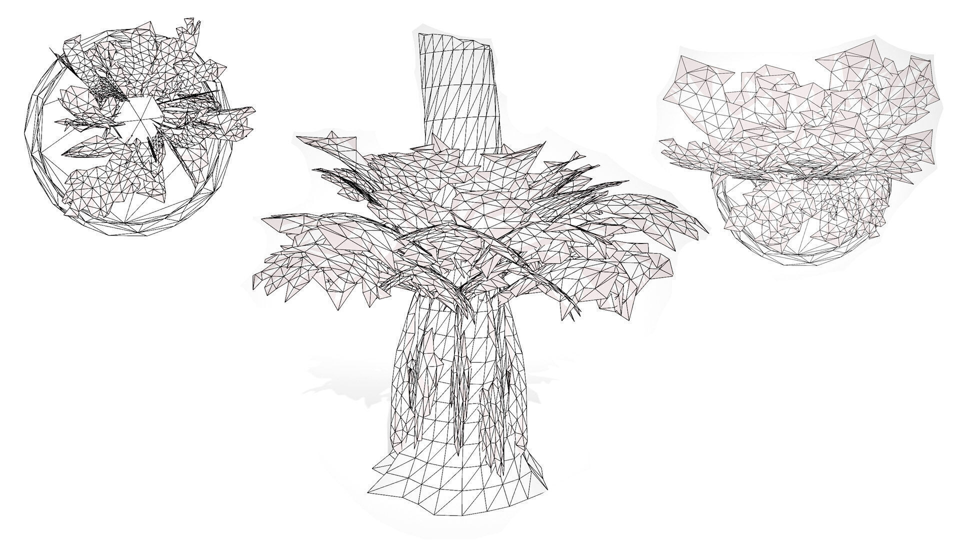 Australian Staghorn Fern Low-poly 3D model_7