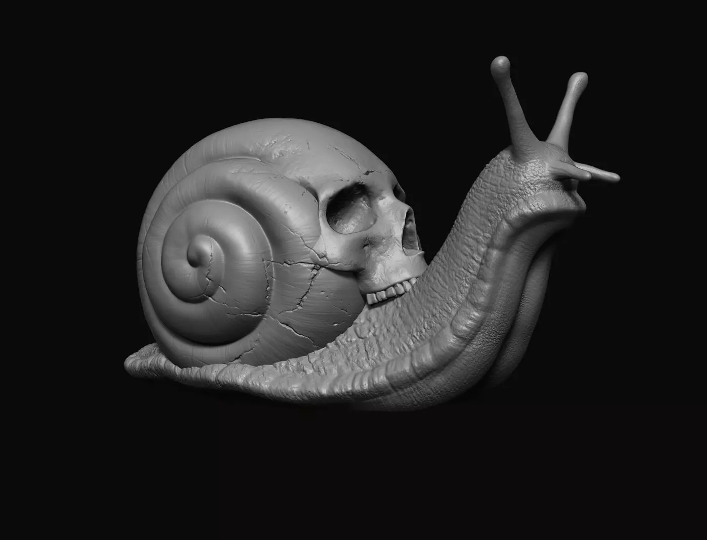 Snail Skull Shell - 3D Print 3D print model