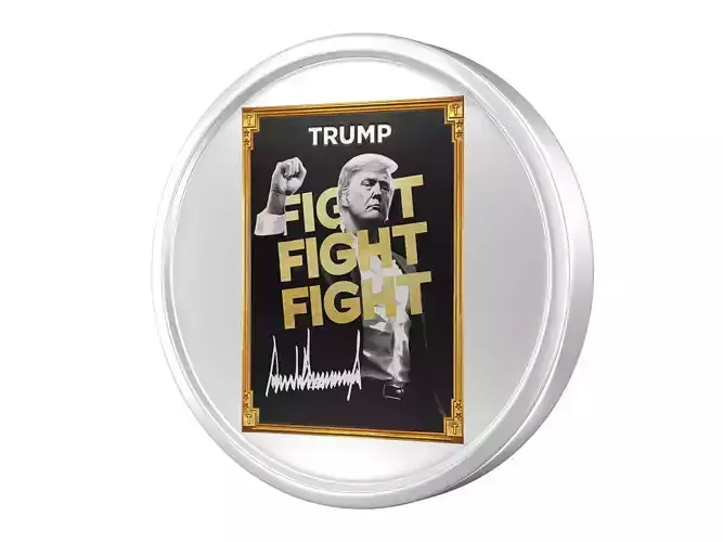 TRUMP Meme Coion 3D model