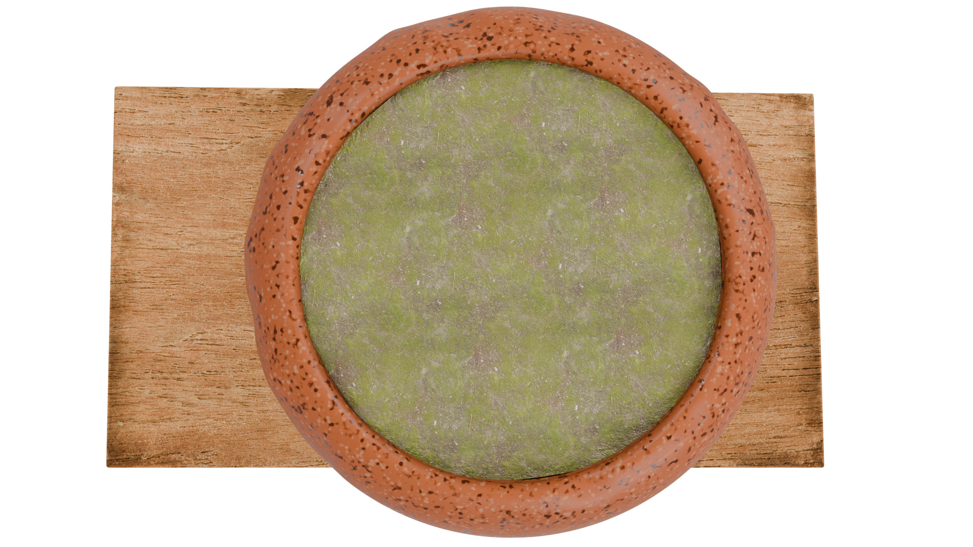 Terracotta Pot 3D model_8