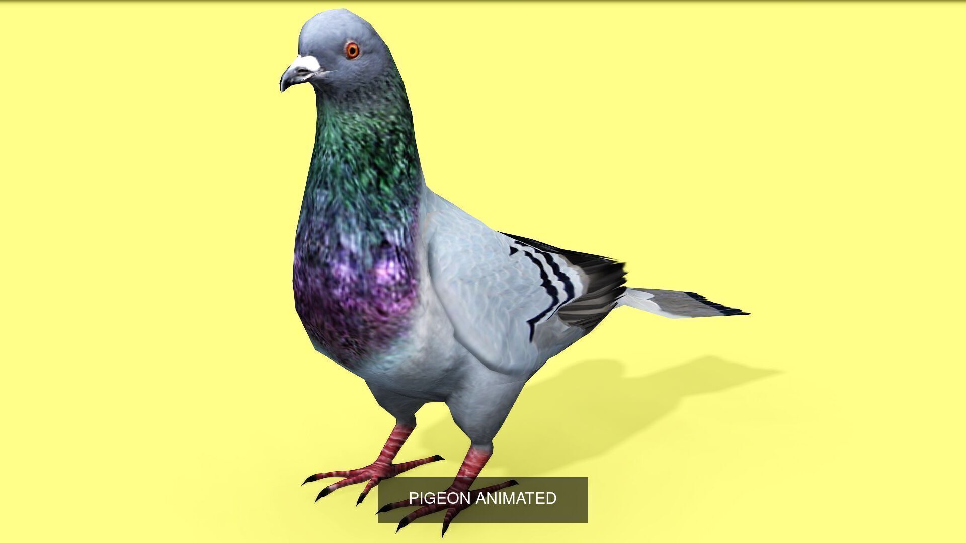 5 PACK OF HORSE DONKEY CAT OWL PIGEON 3D Model Collection_8