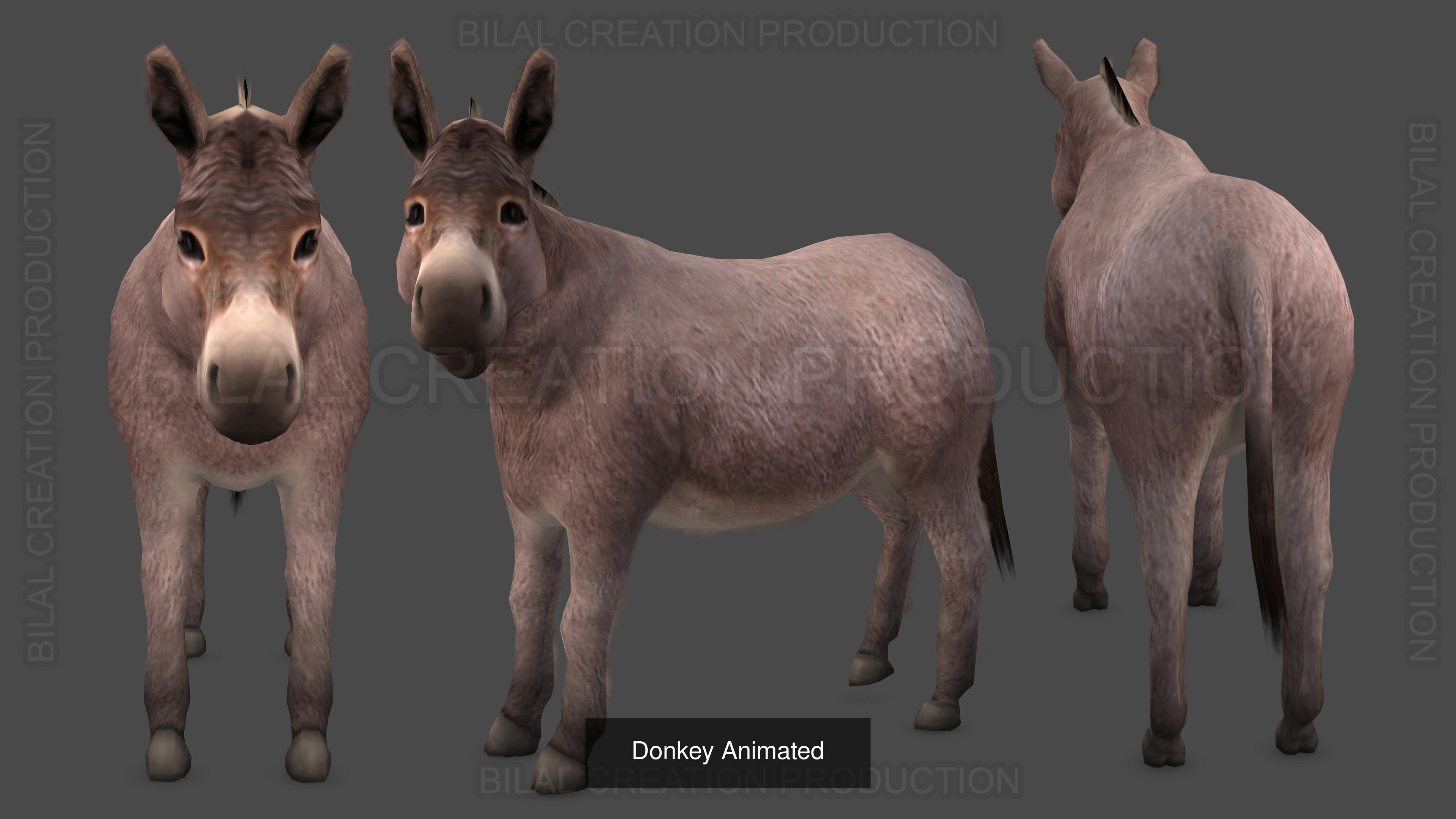 5 PACK OF HORSE DONKEY CAT OWL PIGEON 3D Model Collection_6