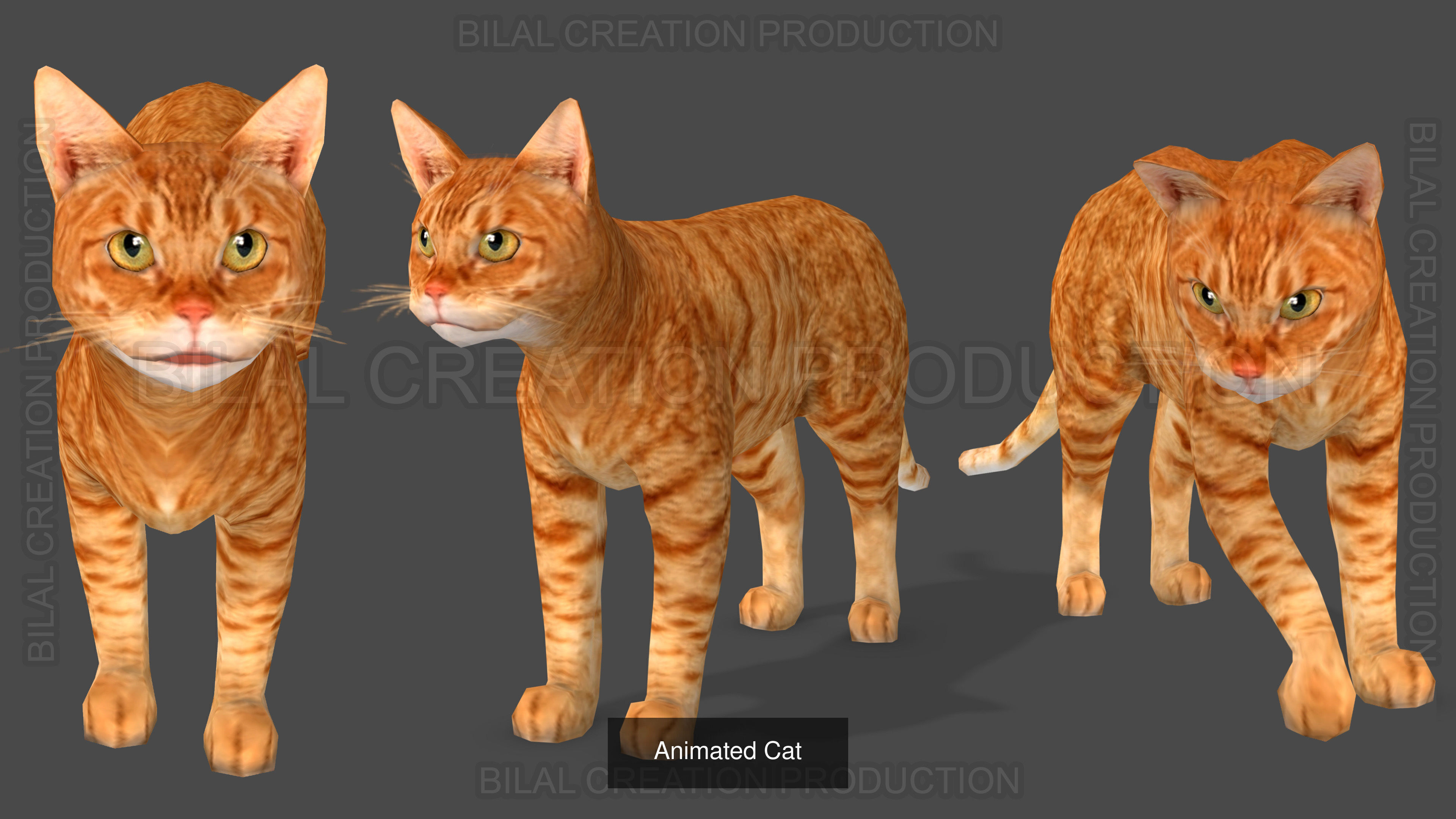 5 PACK OF HORSE DONKEY CAT OWL PIGEON 3D Model Collection_5