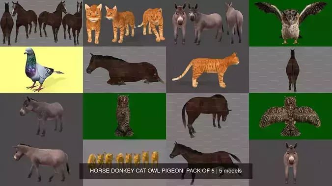5 PACK OF HORSE DONKEY CAT OWL PIGEON 3D Model Collection 5 PACK OF HORSE DONKEY CAT OWL PIGEON 3D Model Collection