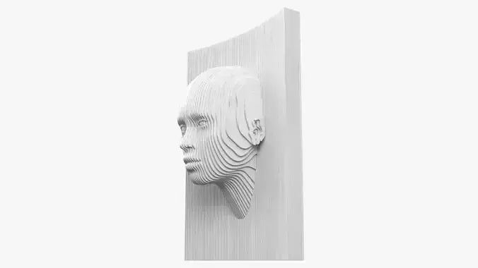 Modern Parametric Human Head Wall Art