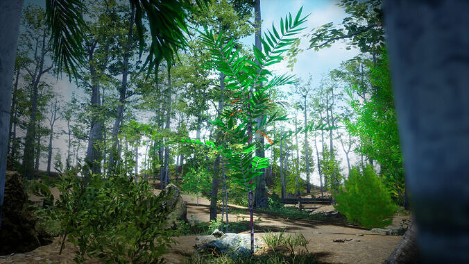 Endangered Plant - 4 Dypsis boiviniana Madagascar Fruit Tree Low-poly 3D model 2