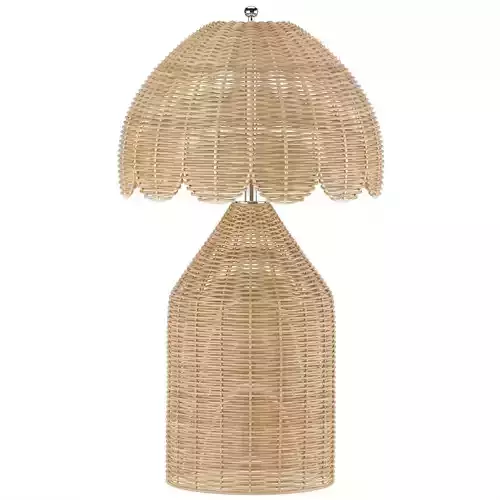 TOV Furniture Willa Rattan Table Lamp